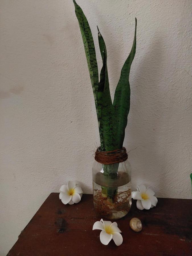 Apartament Casa De Viajeros Bacalar Zewnętrze zdjęcie
