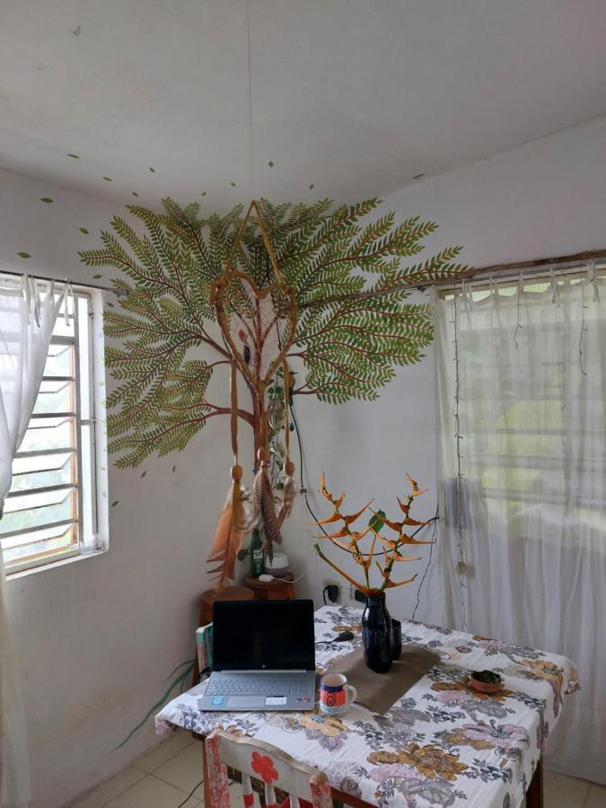 Apartament Casa De Viajeros Bacalar Zewnętrze zdjęcie